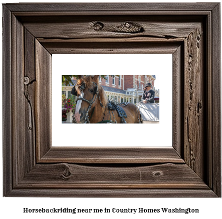 horseback riding near me in Country Homes, Washington